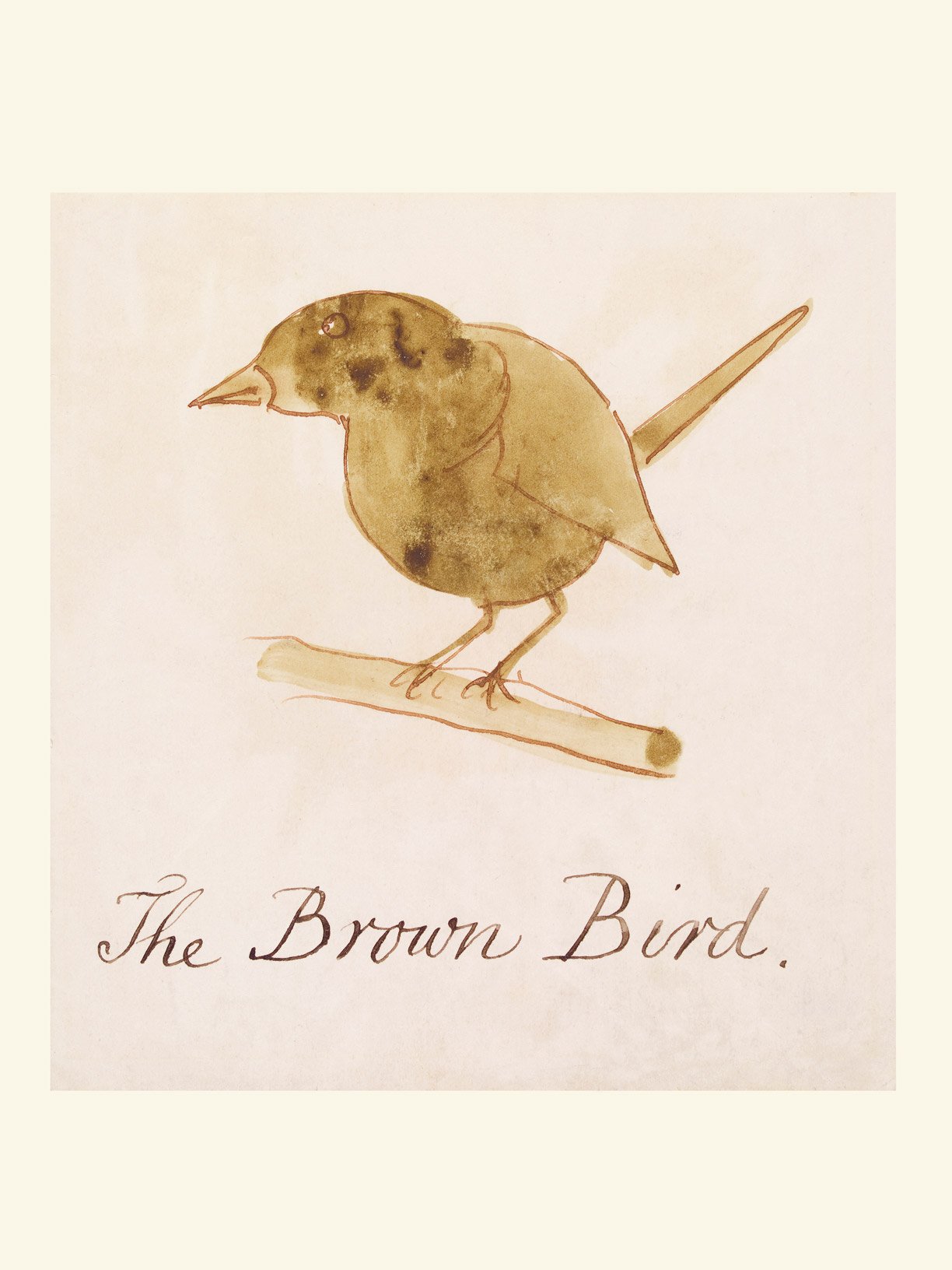 The Brown Bird