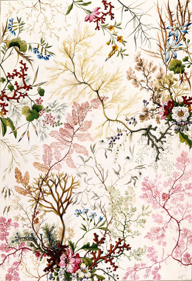 Coral-like chintz textile design