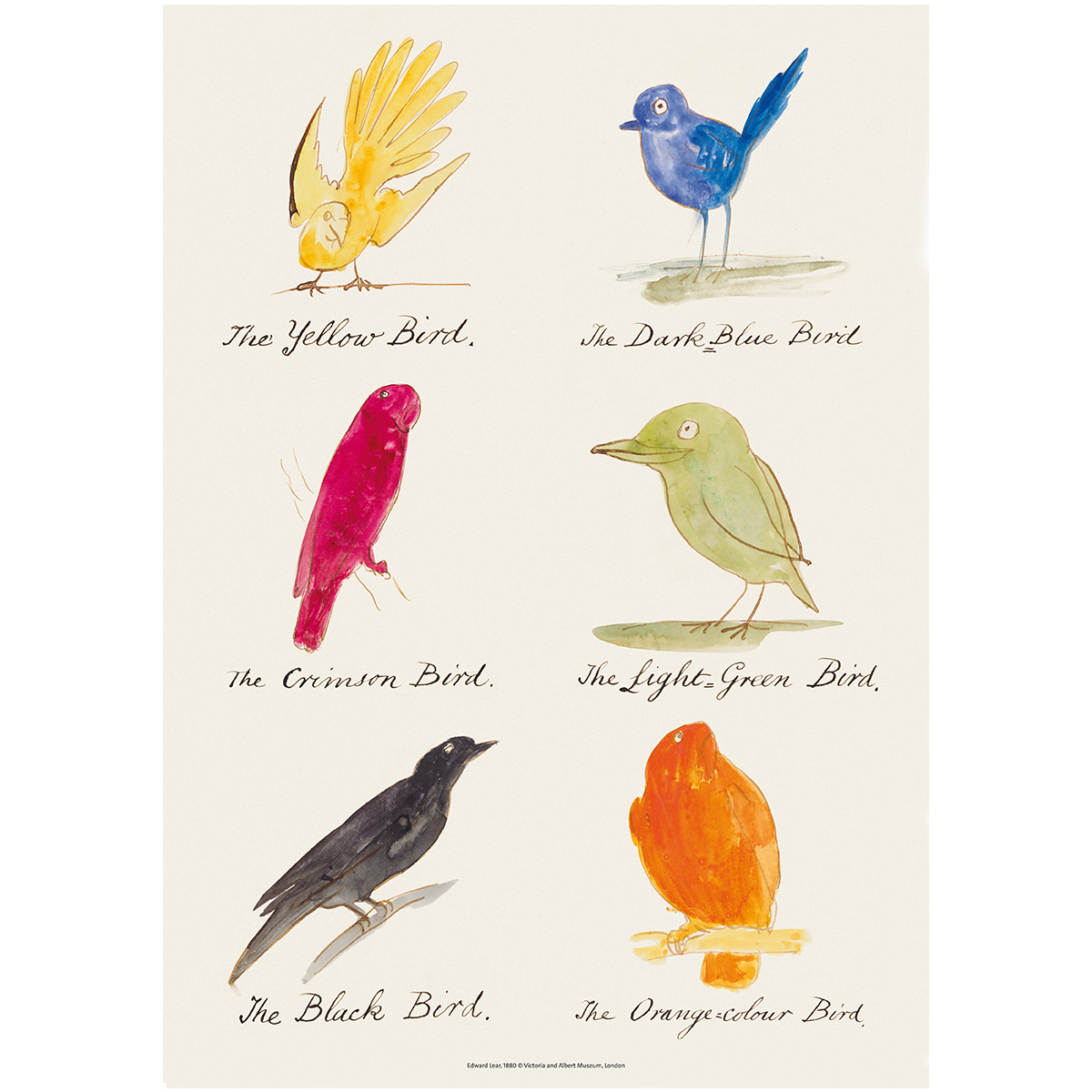 Birds print by Edward Lear